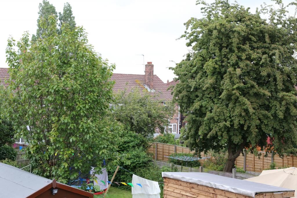 IMAGE: http://i1134.photobucket.com/albums/m618/chrismid259/IMG_9433.jpg