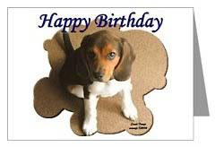 beagle_card_28.jpg