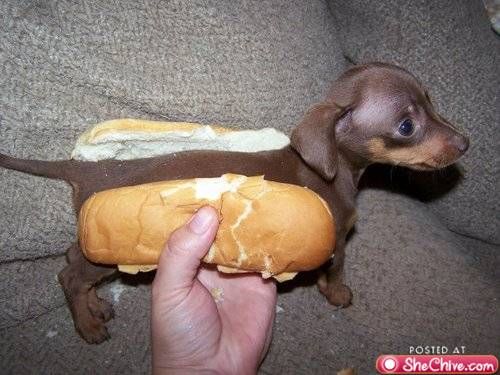 hotdog.jpg