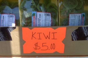 Kiwis.jpg