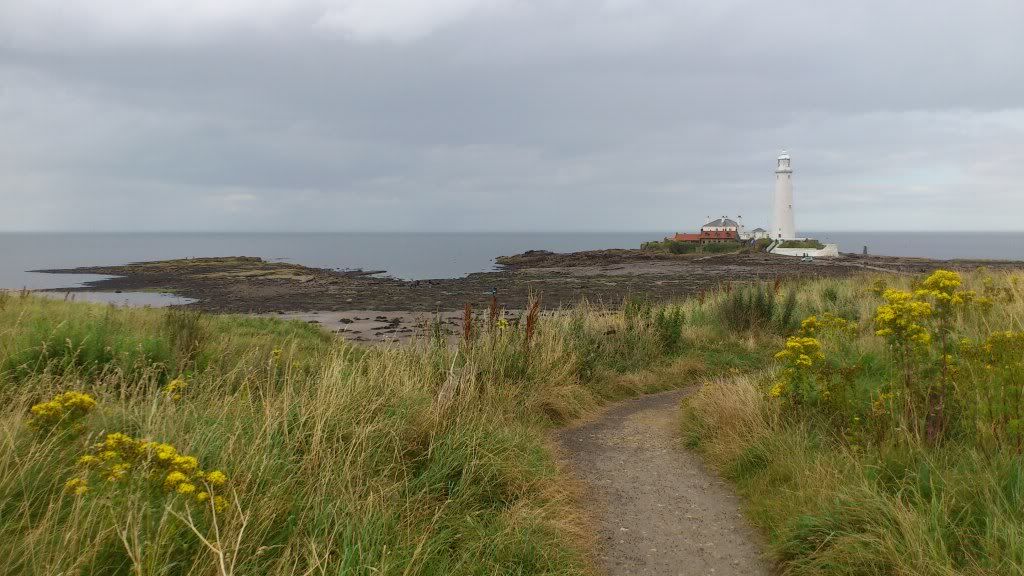 DSC_0703.jpg