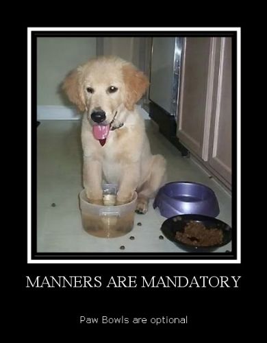 manners