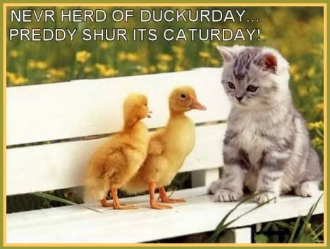saturday