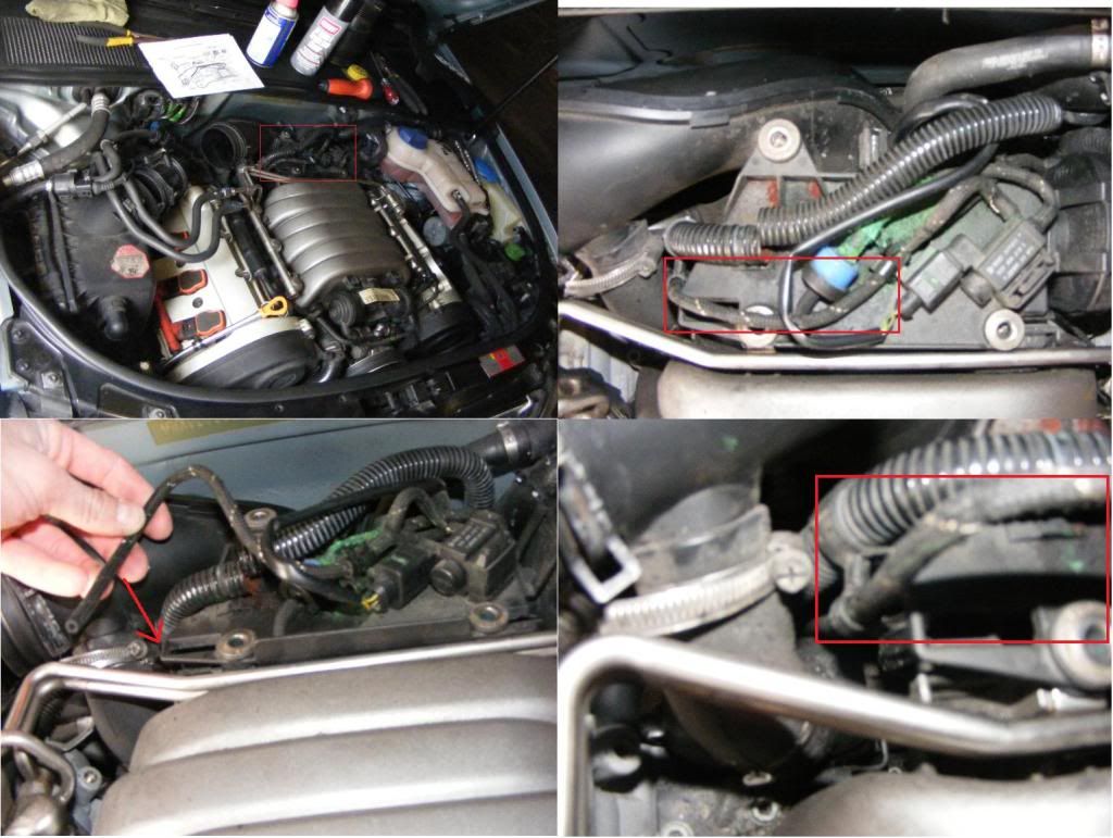 ... and if it's making that big mess with my engine, but anyway I would like to fix it. If anyone could help me that would be great. I'm posting picture