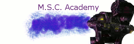 M.S.C. Academy banner